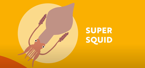 Superfoods Peru – Seafood 3